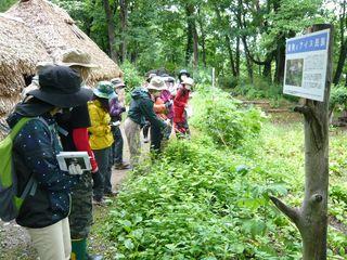 arashiyama_kouza_2024_010.JPG