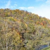 嵐山（2025.10.21）