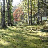 コケ広場（園入口、2025.10.14）