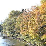 オサラッペ川河畔（2025.10.21）