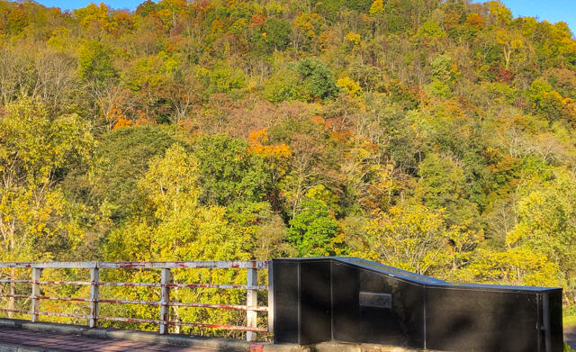 arashuyama_autumn_leaves_2019_10_10.jpg