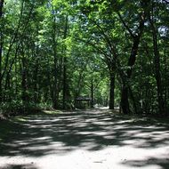 散策路（自然生態観察公園区域園路）