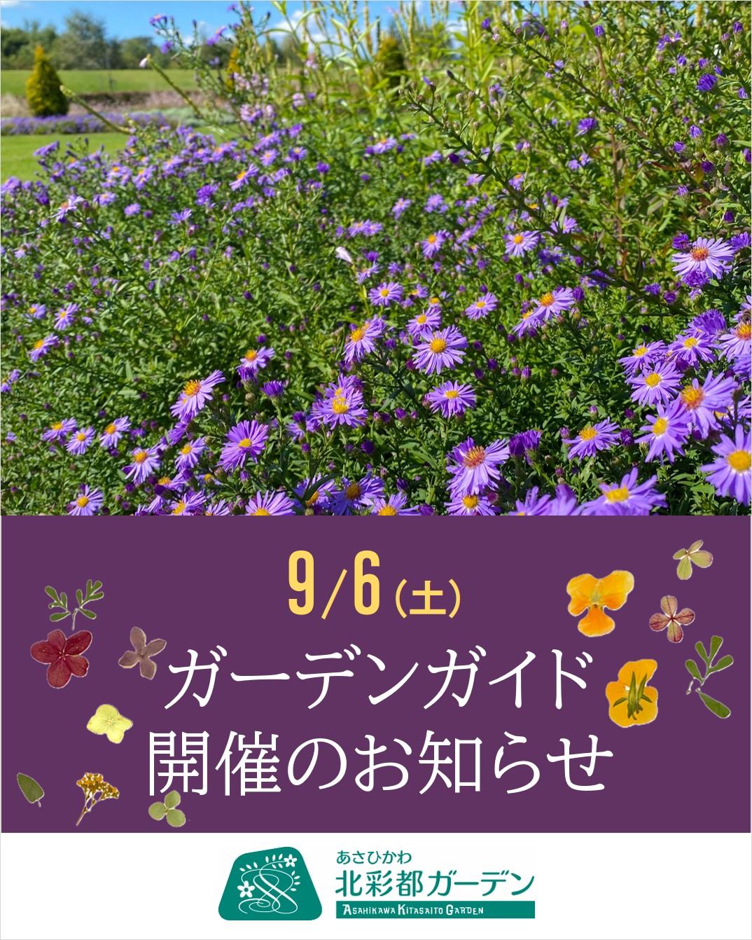 ガイド10月.jpg